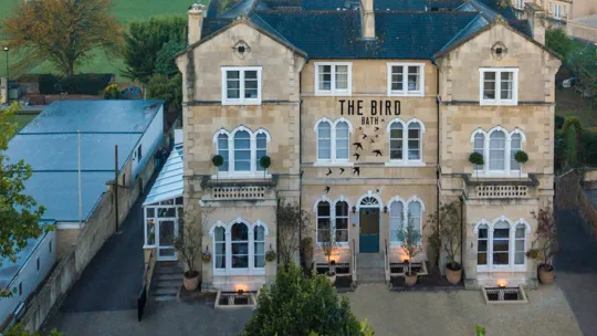 The Bird Bath