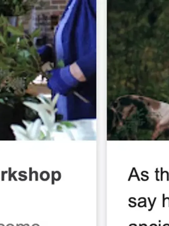 Blog carousel